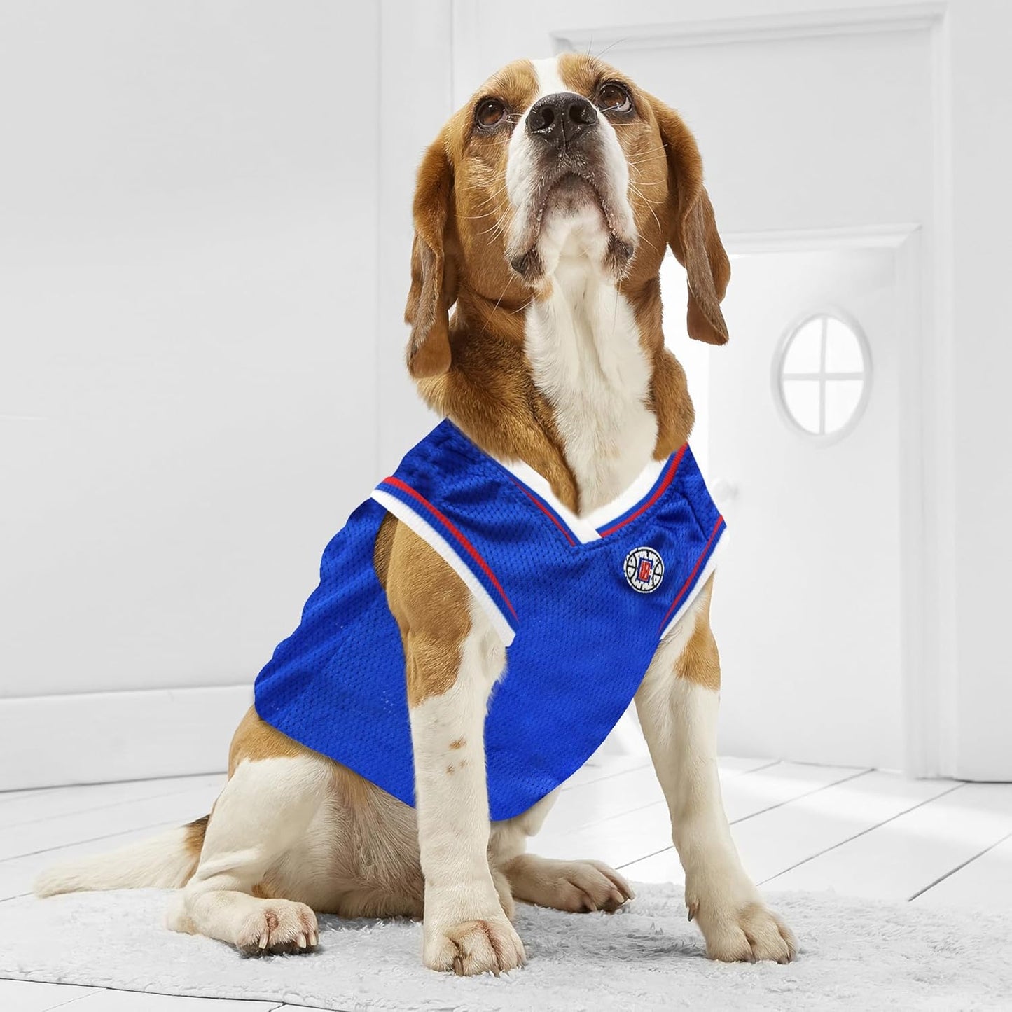 NBA LOS ANGELES CLIPPERS DOG Jersey, Small - Tank Top Basketball Pet Jersey