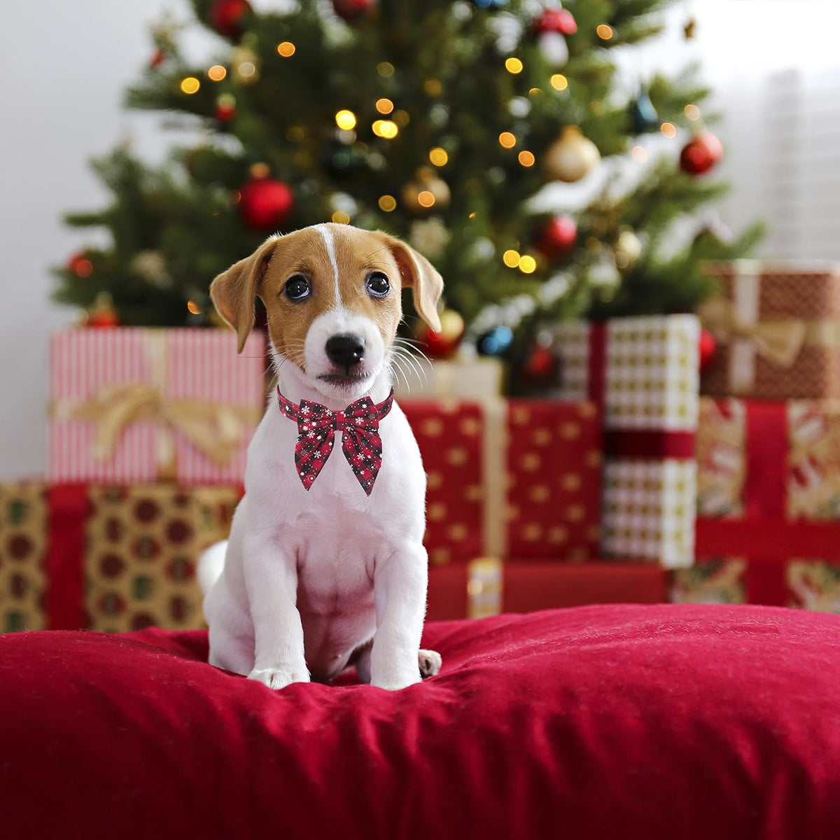 Christmas Dog Collar with Bow, Red Plaid Snowflake Dog Bow Tie, L