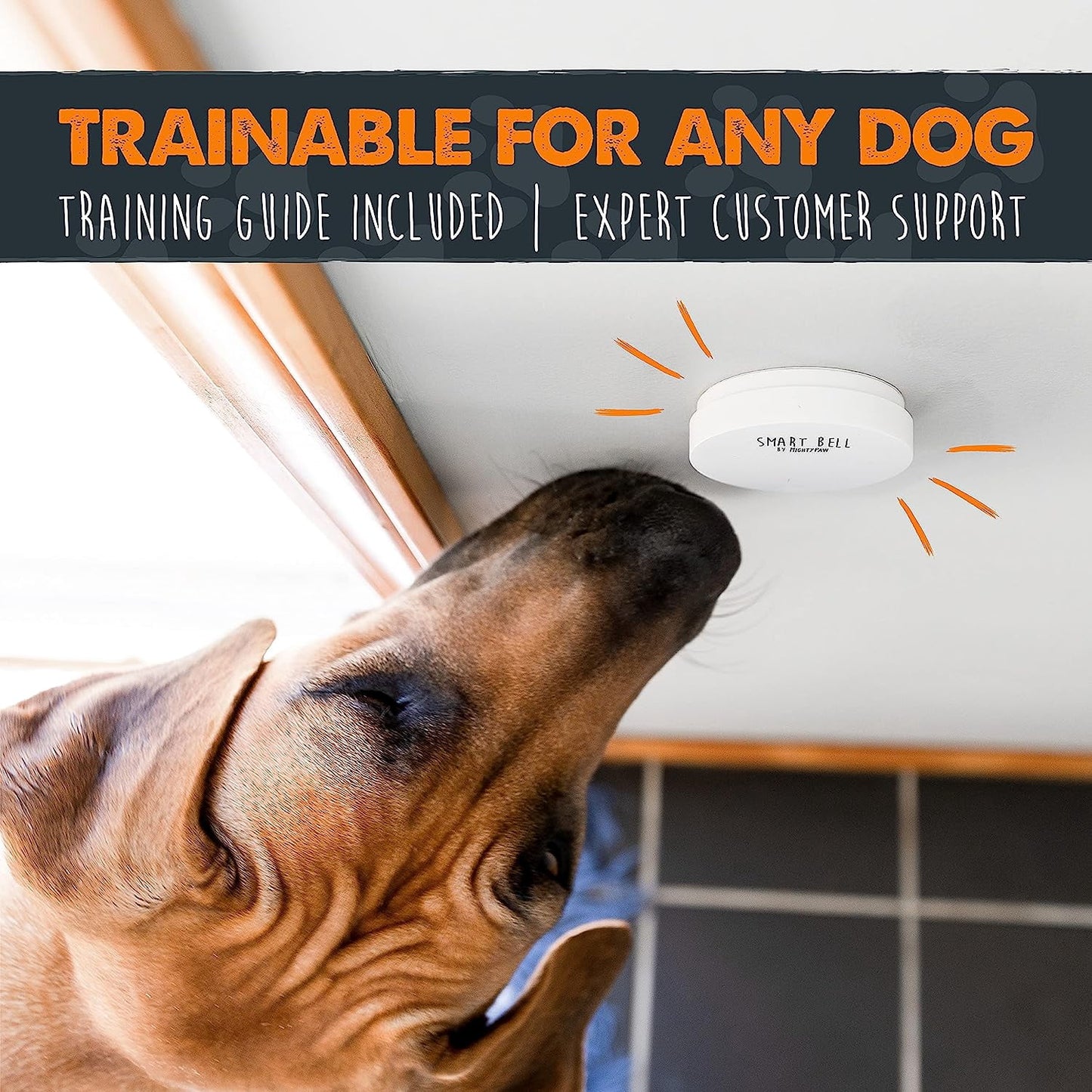 Weatherproof Door Mounted Smart Pet Doorbell, 2 Activators