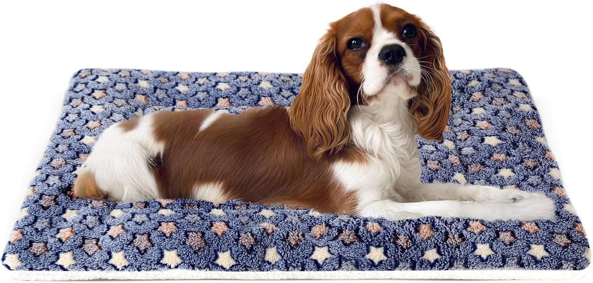 Dog Crate Pad Bed Ultra Soft Pet Mat Star Print Blue 23 X 18 Inch