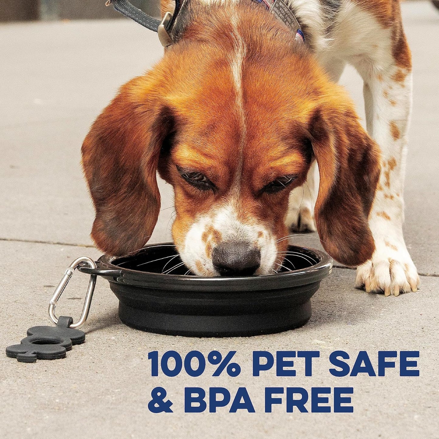 Collapsible Dog Bowls - Large 33 Oz, Dog Travel Accessories, Silicone Portable Dogs Bowl & Water Dish with Reinforced Rim & Carabiner for Hiking, Camping, and Car Trips, Black