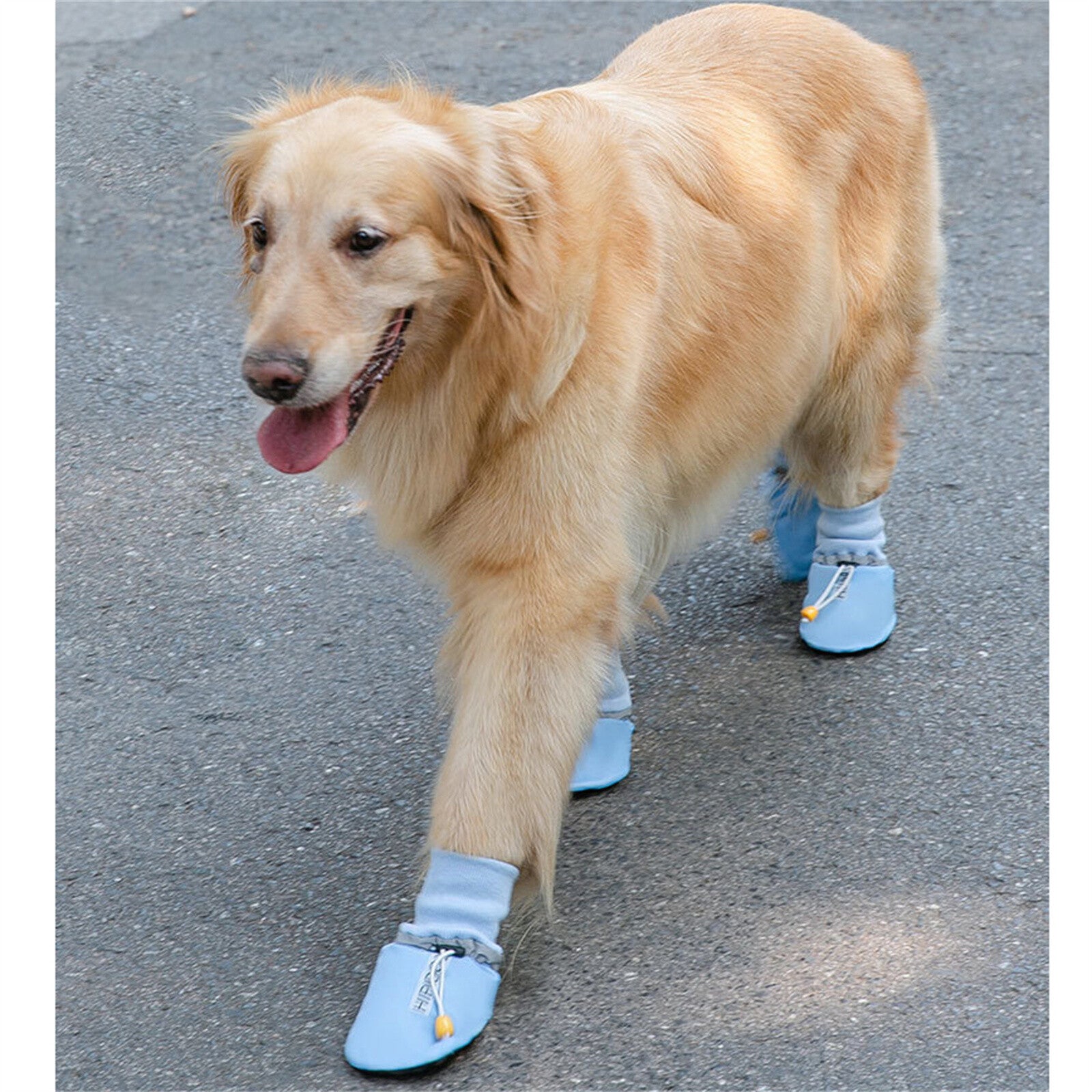 Summer Hot Pavement Anti-Slip Dogs Shoes Boots Meidum Large Dog Paw Protectors