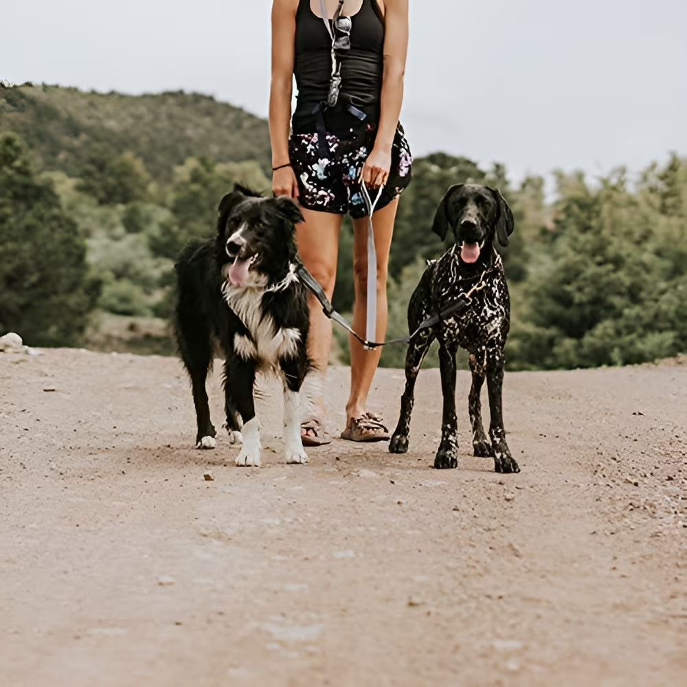 Double Dog Leash, Two Dog Adjustable Length Dog Lead, No-Tangle Leash for 2 Dogs