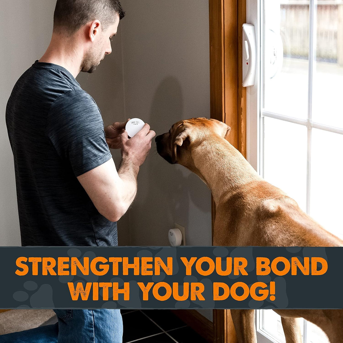 Weatherproof Door Mounted Smart Pet Doorbell, 2 Activators