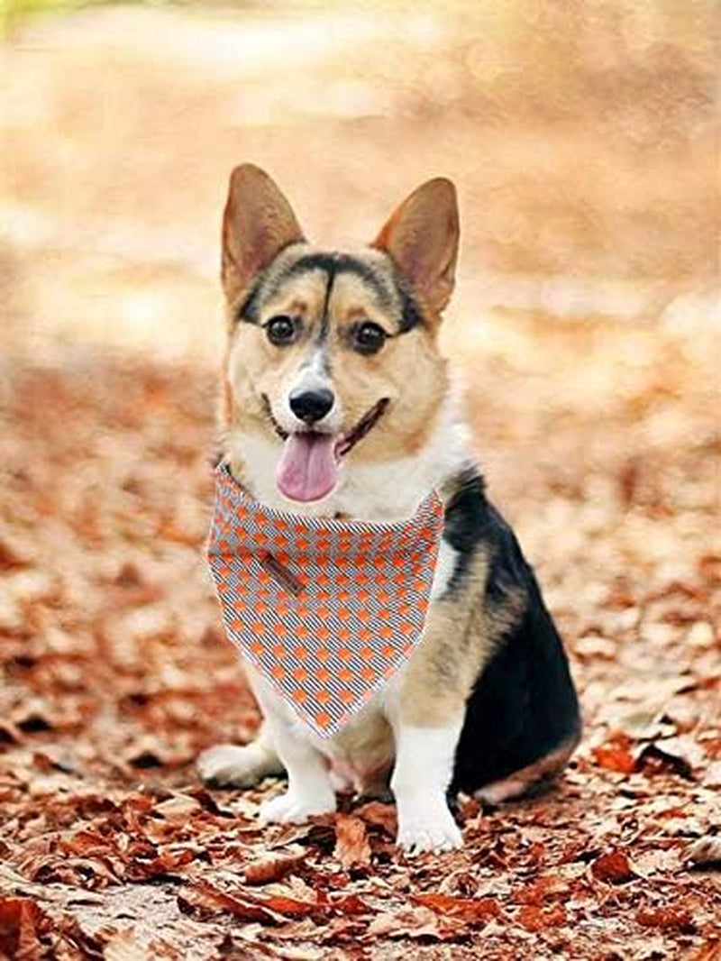 Bandana for Boy Girl Small Medium Large Dogs, Comfortable Bibs Scarf, Adjustable Square Kerchief