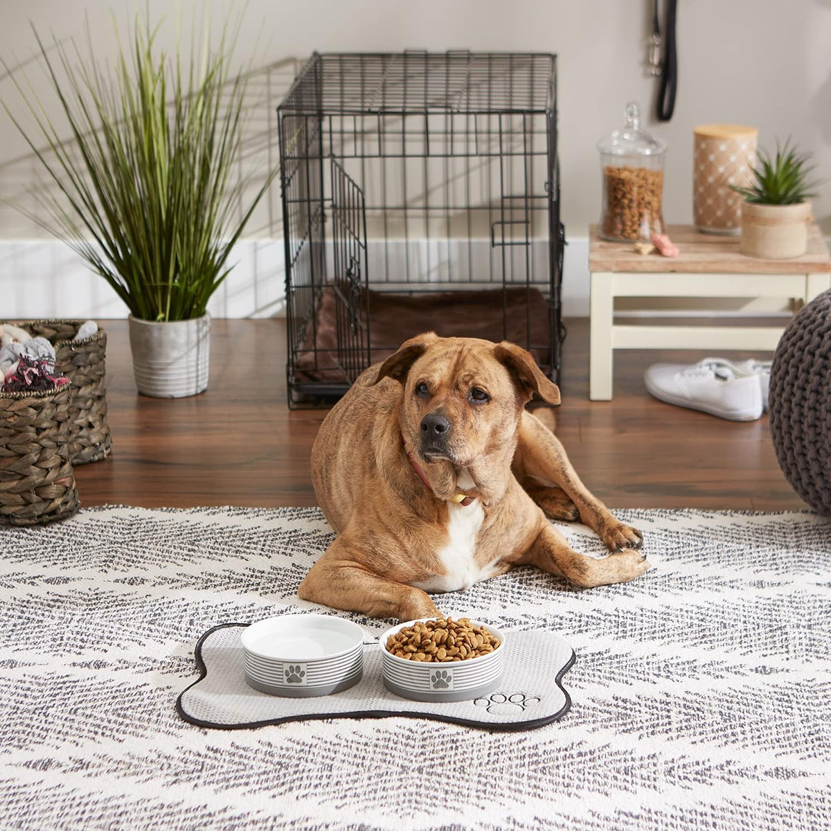 Paw & Patch Ceramic Pet Collection, Medium Set, 6X2", Gray, 2 Piece