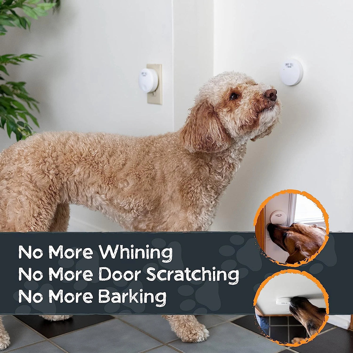 Weatherproof Door Mounted Smart Pet Doorbell, 2 Activators